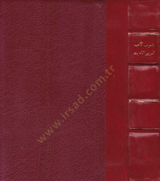 العام-الأدبي-العربي-الحديث - قاموس الأدب العربي الحديث