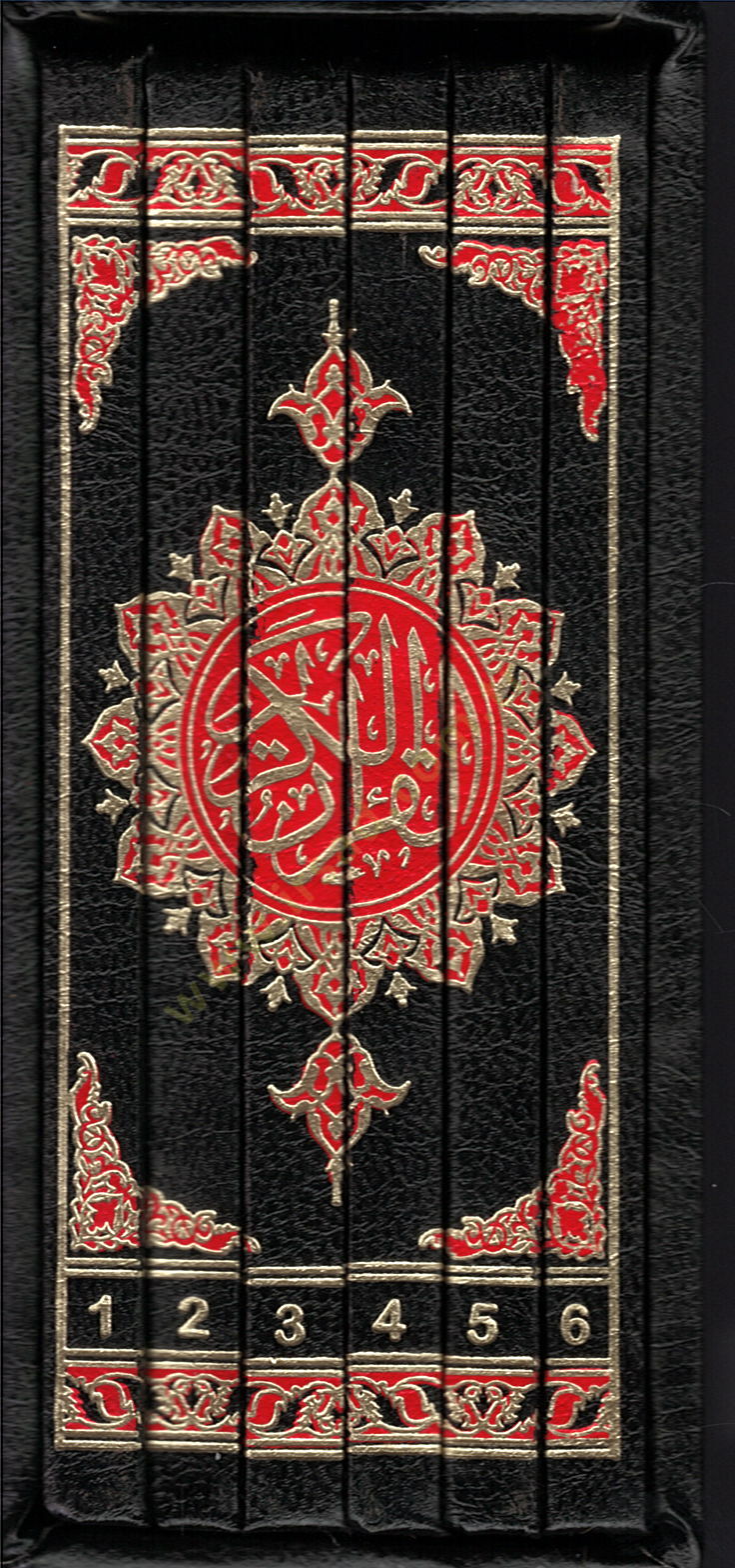 el-Kuranül-Kerim mücze  - القرآن الكريم 6 أقسام