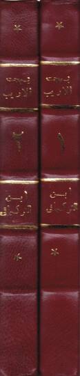 Behcetül-Erib fi Beyani ma fi Kitabillahil-Aziz minel-Garib - بهجة الأريب في بيان ما في كتاب الله العزيز من الغريب - 2