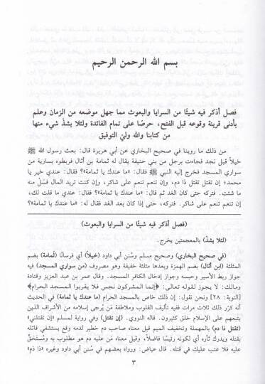 Behcetül-Mehafil ve Bugyetül-Emasil fi Telhisil-Mucizat ves-Siyer veş-Şemail - بهجة المحافل وبغية الأماثل في تلخيص المعجزات والسير والشمائل - 3