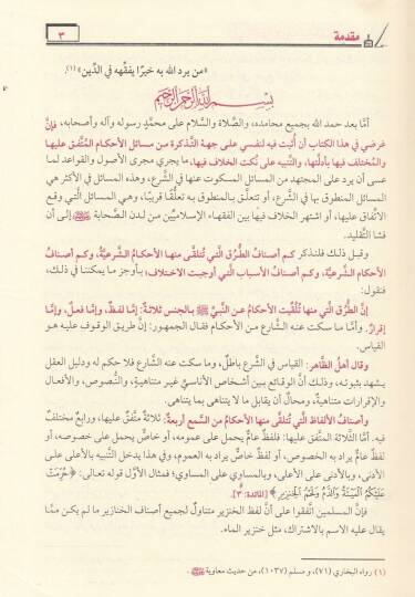 Bidayetül-Müctehid ve Nihayetül-Muktesıd - بداية المجتهد ونهاية المقتصد - 2
