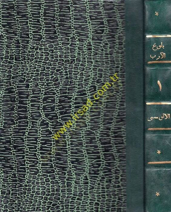 Bulugül-Ereb fi Marifeti Ahvalil-Arab - بلوغ الأرب في معرفة أحوال العرب - 1