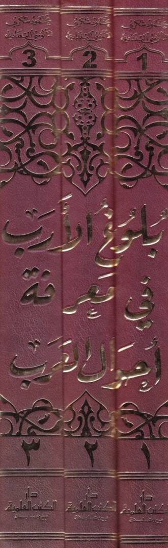 Bulugül-Ereb fi Marifeti Ahvalil-Arab - بلوغ الأرب في معرفة أحوال العرب - 2