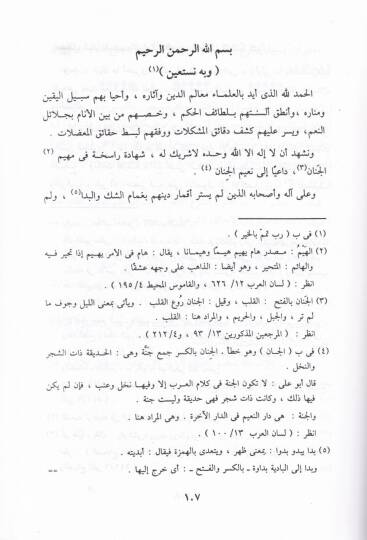 Camiül-Esrar fi Şerhil-Menar lin-Nesefi - جامع الأسرار في شرح المنار للنسفي - 3