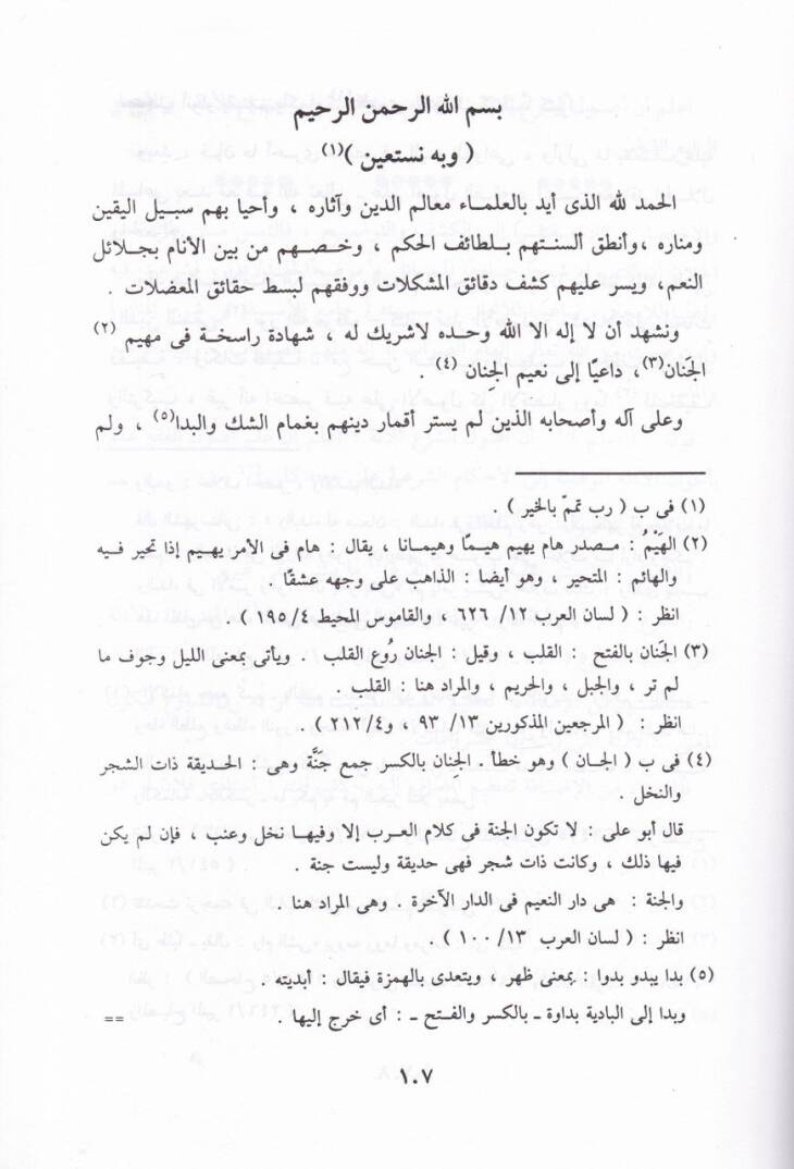 Camiül-Esrar fi Şerhil-Menar lin-Nesefi - جامع الأسرار في شرح المنار للنسفي - 3