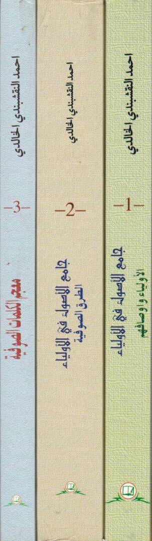 Camiül-Usul fil-Evliya  - جامع الأصول في الأولياء المجلد1: الأولياء وأوصافهم-

المجلد 2: الطرق الصوفية-

المجلد 3: معجم الكلمات الصوفية- - 2
