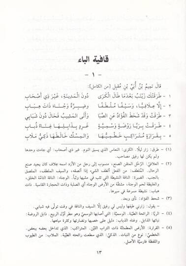 Divanu  Temim b. Übey İbn Mukbil  - ديوان تميم بن أبي بن مقبل - 2