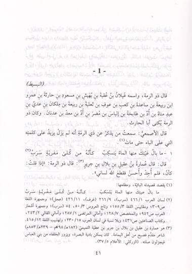 Divanu Zirrumme  - ديوان ذي الرمة - 3