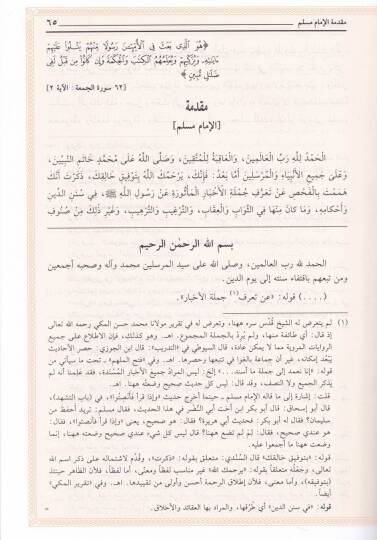 Ed-Dibac ala Sahihil-İmam Müslim b. El-Haccac - الديباج على صحيح مسلم بن الحجاج و بحاشيته الحل المفهم لصحيح مسلم - 3