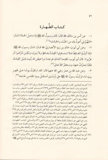 Ed-Dürrul-Manzum min Kelamil-Mustafa El-Masum  - الدرر المنظوم  من كلام المصطفى المعصوم ﷺ - 2
