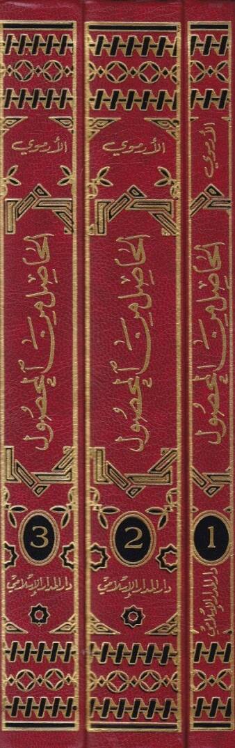 El-Hasıl minel-Mahsul fi Usulil-Fıkh - الحاصل من المحصول في أصول الفقه - 2
