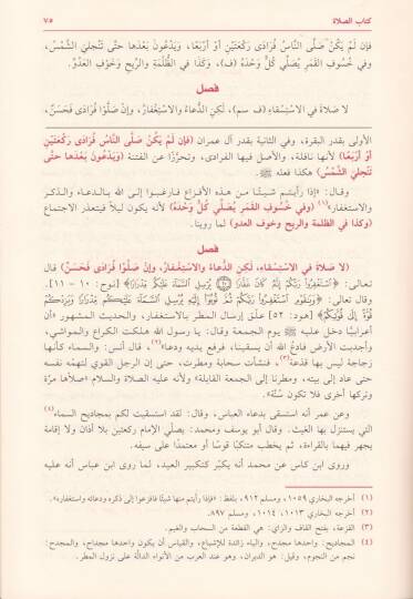 El-İhtiyar li-Talilil-Muhtar  - الاختيار لتعليل المختار - 2