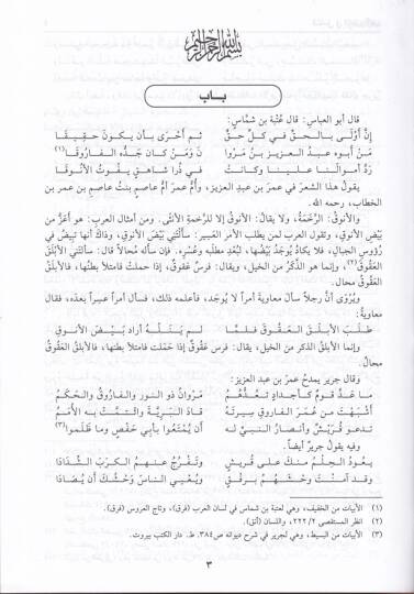 El-Kamil fil-Luga vel-Edeb  - الكامل في اللغة والأدب - 3