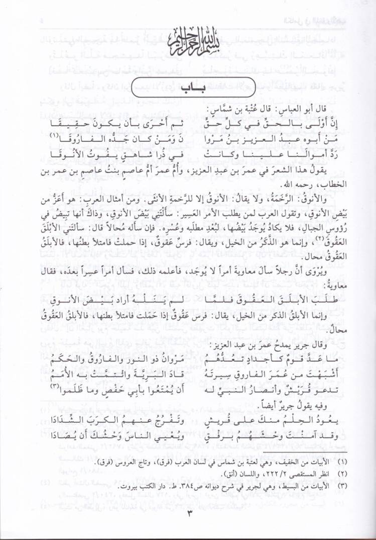 El-Kamil fil-Luga vel-Edeb  - الكامل في اللغة والأدب - 3