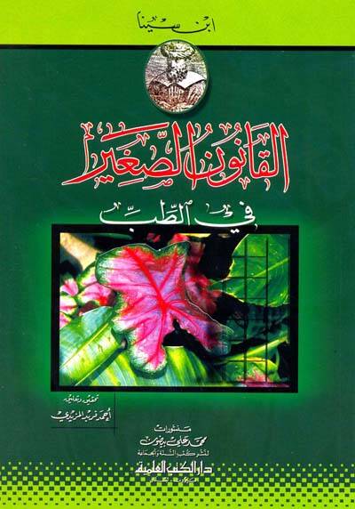 el-Kanünüs-sagir fit-tıb - القانون الصغير في الطب - 1