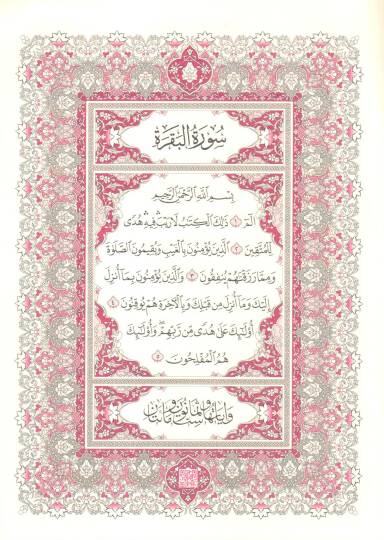 el-Kuranül-Kerim mücze - القرآن الكريم مجزأ 17*24 - 2