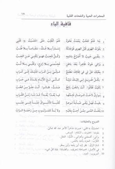 El-Maşeratül-Hubbiye ven-Nefehatül-Kalbiye vel-Lefehatüş-Şevkıyetül-Hubbiye  - المعشرات الحبية والنفحات القلبية واللفحات الشوقية الحبية - 2