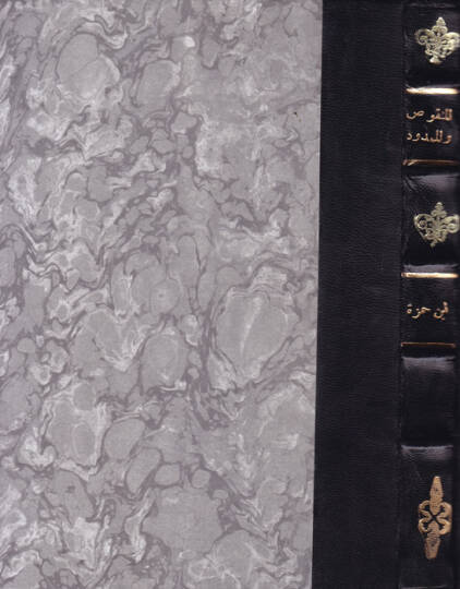 El-Menkus vel-Memdud ve Et-Tenbihat  Ebül-Kasım El-Basri Ali b. Hamza - المنقوص والممدود والتنبيهات