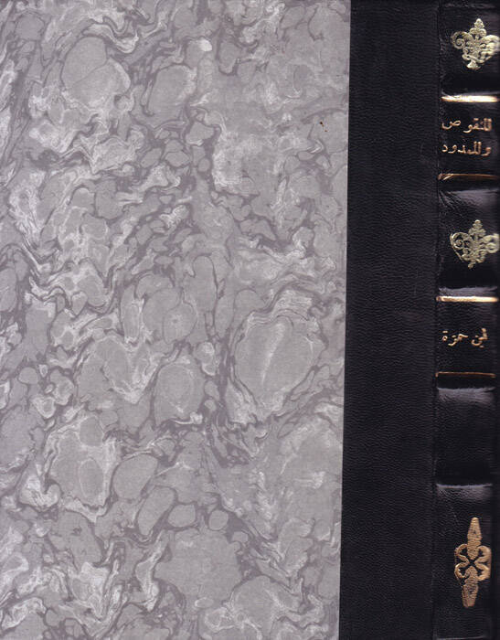 El-Menkus vel-Memdud ve Et-Tenbihat Ebül-Kasım El-Basri Ali b. Hamza - المنقوص والممدود والتنبيهات - 1