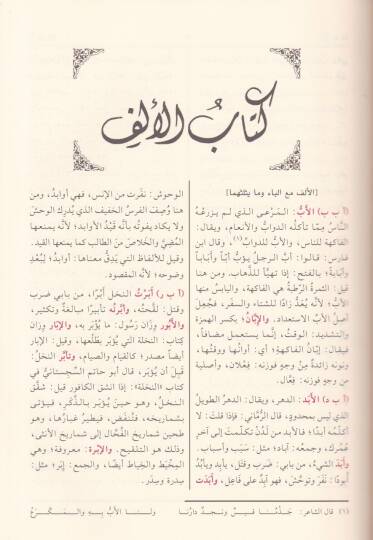 El-Misbahül-Münir fi Garibiş-Şerhil-Kebir - المصباح المنير في غريب الشرح الكبير - 2