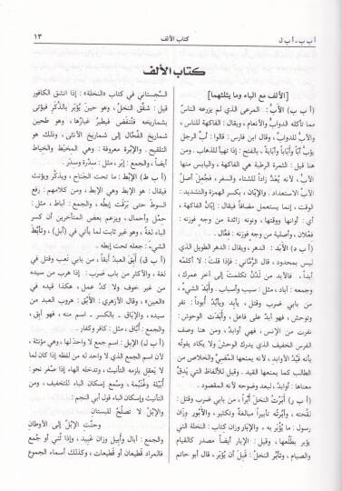 El-Misbahül-Münir Fi Garibiş-Şerhil-Kebir - المصباح المنير في غريب الشرح الكبير - 2