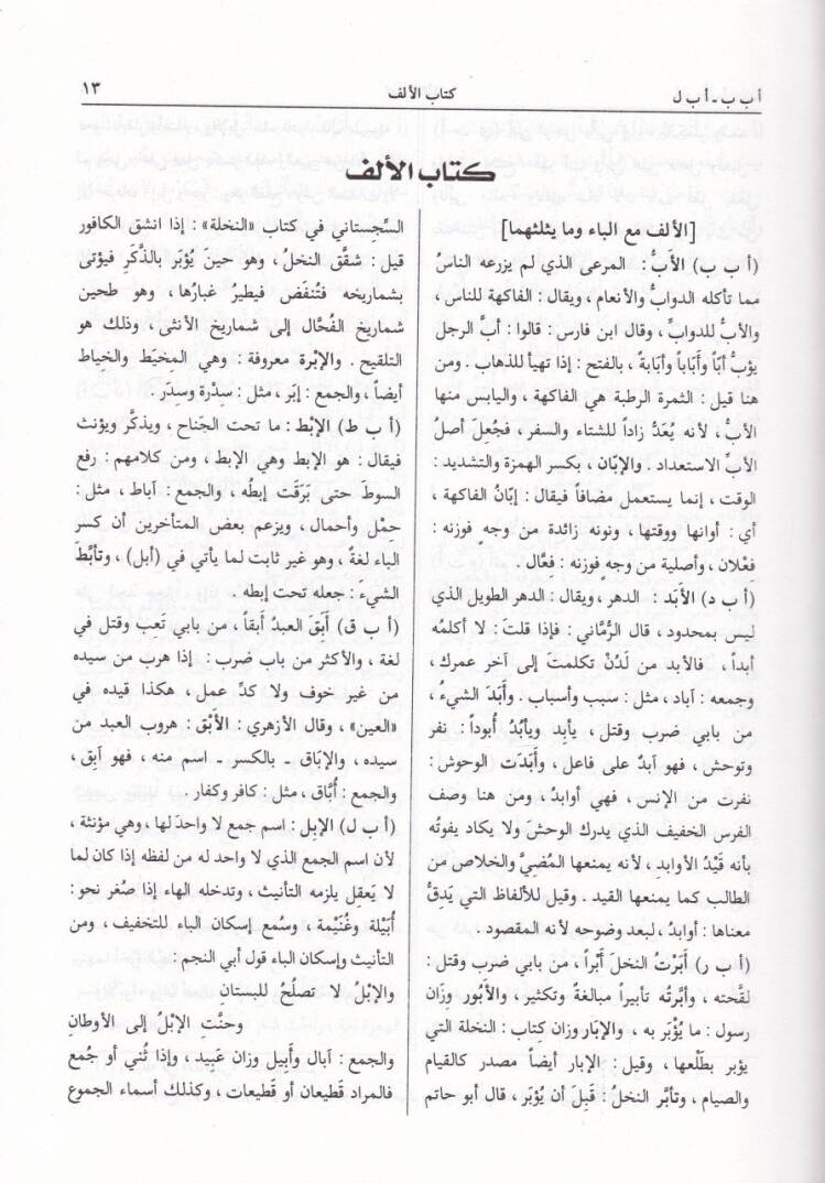 El-Misbahül-Münir Fi Garibiş-Şerhil-Kebir - المصباح المنير في غريب الشرح الكبير - 2