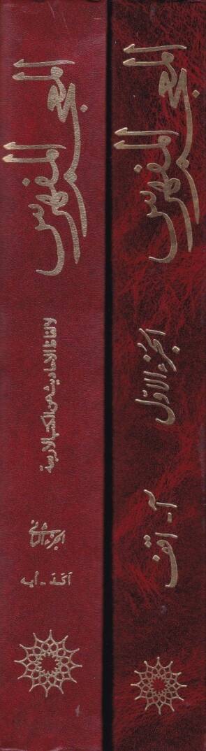 El-Mucemul-Müfehresu li Elfazil-Ehadis anil Kütübül-Erbia El-İstibsar, El-Kafi, Et-Tehzib, Men La yehduruhul-Fakih - المعجم المفهرس للألفاظ الأحاديث عن الكتب الأربعة الاستبصار ، الكافي ، التهذيب ، من لايحضره الفقيه - 2
