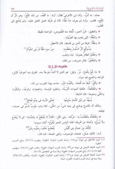 El-Muhkem vel-Muhitül-Azam  - المحكم والمحيط الأعظم - 3