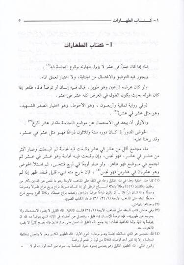 El-Mültekat fil-Fetaval-Hanefiyye  - الملتقط في الفتاوى الحنفية - 2