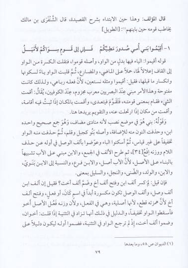 El-Müntehab fi Şerh Lamiyyetil-Arab liş-Şenferi - المنتخب في شرح لامية العرب للشنفرى - 2