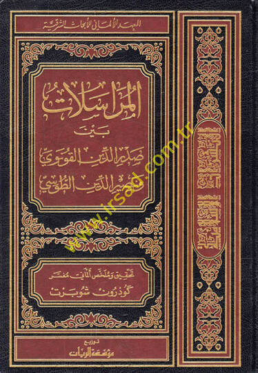 El-Müraselat beyne Sadreddin Konevi ve Nasırüddin Et-Tusi Annaeherungen  der Mystisch Philosophische Briefwechsel Zwischen Sadr Ud-Din Qonawi und Nasir Ud-Din-i Tusi - المراسلات بين صدرالدين القونوي وناصرالدين الطوسي