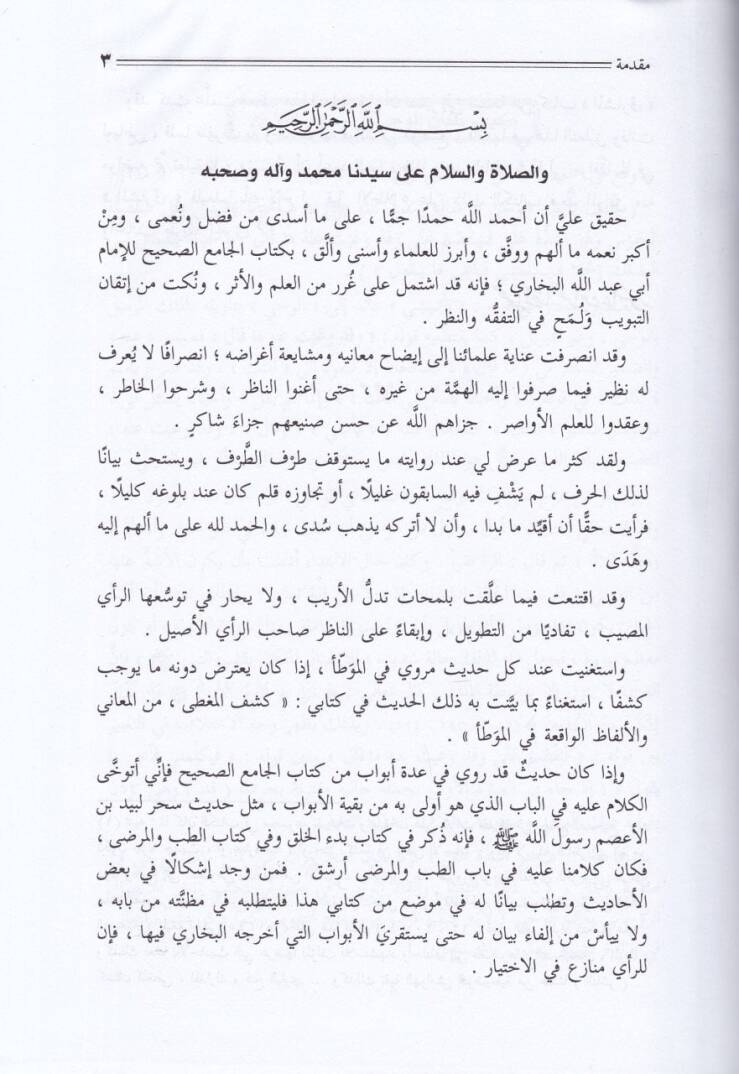 En-Nazarül-Fesih inde Medaikil-Enzar fi Camiis-Sahih - النظر الفسيح عند  مضايق الأنظار في الجامع الصحيح - 2