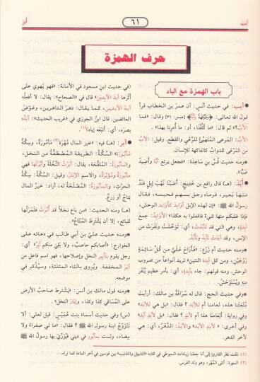 En-Nihaye fi Garibil-Hadis vel-Eser ve maahu Et-Tezyil vet-Teznib ala Nihayetil-Garib lil-İmam Es-Suyuti - النهاية في غريب الحديث والأثر - 2