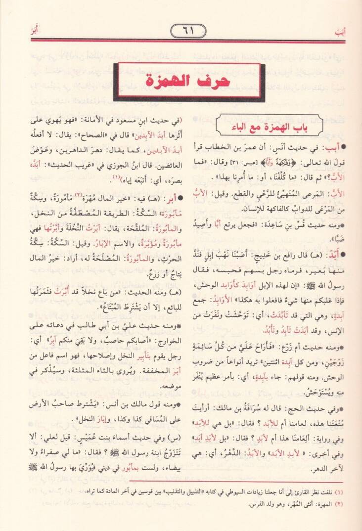 En-Nihaye fi Garibil-Hadis vel-Eser ve maahu Et-Tezyil vet-Teznib ala Nihayetil-Garib lil-İmam Es-Suyuti - النهاية في غريب الحديث والأثر - 2