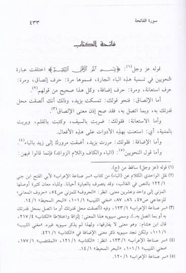 Et-Tefsirül-Basit  - التفسير البسيط - 2