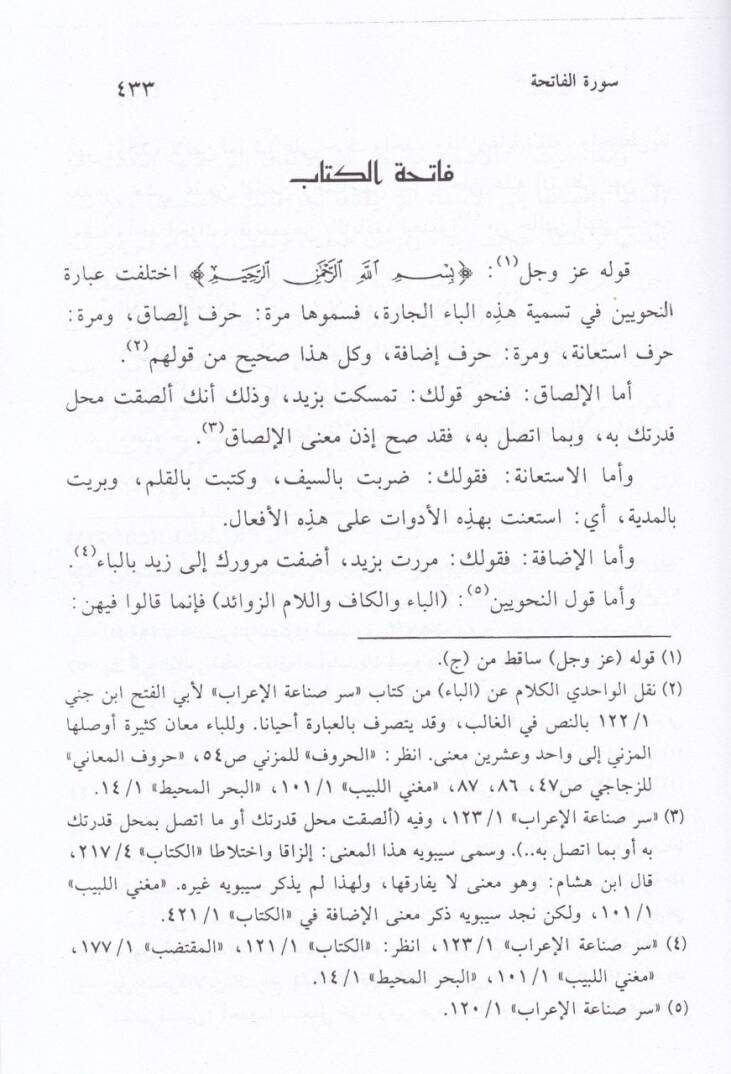 Et-Tefsirül-Basit  - التفسير البسيط - 2