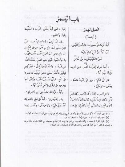 Et-Tekmile vez-Zeyl ves-Sıla Lima Fate Sahibül-Kamus minel-Luga - التكملة والذيل والصلة لما فات صاحب القاموس من اللغة - 2