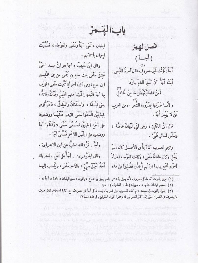 Et-Tekmile vez-Zeyl ves-Sıla Lima Fate Sahibül-Kamus minel-Luga - التكملة والذيل والصلة لما فات صاحب القاموس من اللغة - 2