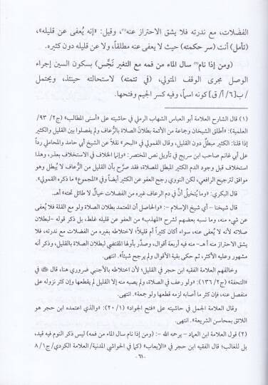 Fethül-Cevad fi Şerhu Manzumeti İbnil-İmad fin-Necesat El-Mafu anha - فتح الجواد في شرح منظومة ابن العماد في النجاسات المعفو عنها - 2