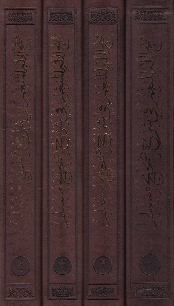 Fethül-İlahil-Münim fi Şerhu Sahihu Müslim - فتح الإله المنعم في شرح صحيح مسلم - 2