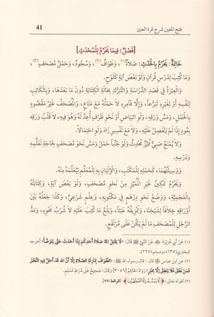 Fethül-Muin bi Şerhi Kurretil-Ayn bi Mühimmatid-Din - فتح المعين بشرح قرة العين بمهمات الدين - 2