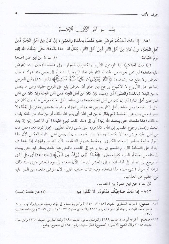 Feyzül-Kadir Şerhül-Camiis-Sagir min Ehadisil-Beşirin-Nezir - فيض القدير شرح الجامع الصغير - 3