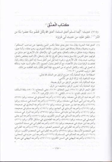 Gayetül-Beyan Şerhu Zebed b. Raslan - غاية البيان شرح زبد أبن رسلان - 2