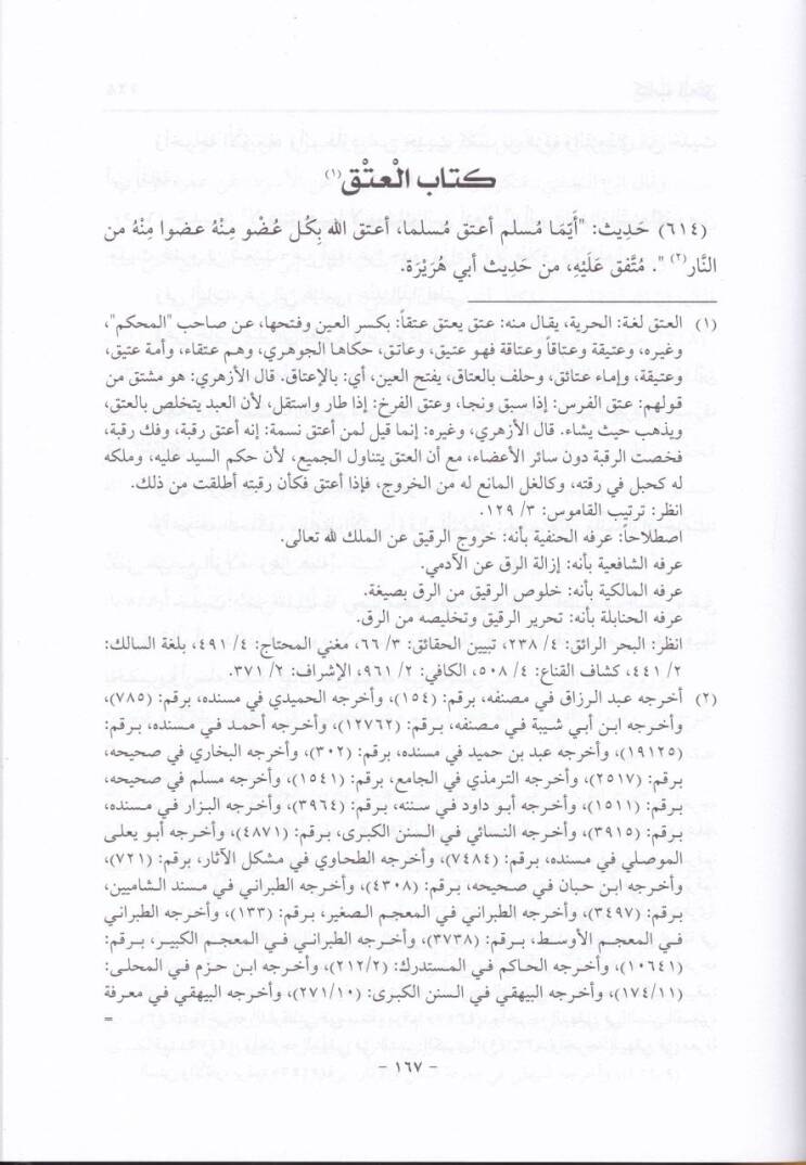 Gayetül-Beyan Şerhu Zebed b. Raslan - غاية البيان شرح زبد أبن رسلان - 2