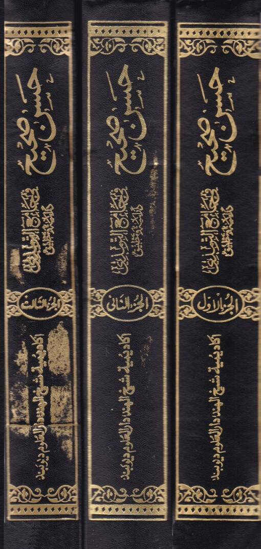 Hüsnü Sahih fi Camiüt-Tirmizi - حسن صحيح في جامع الترمذي - 2