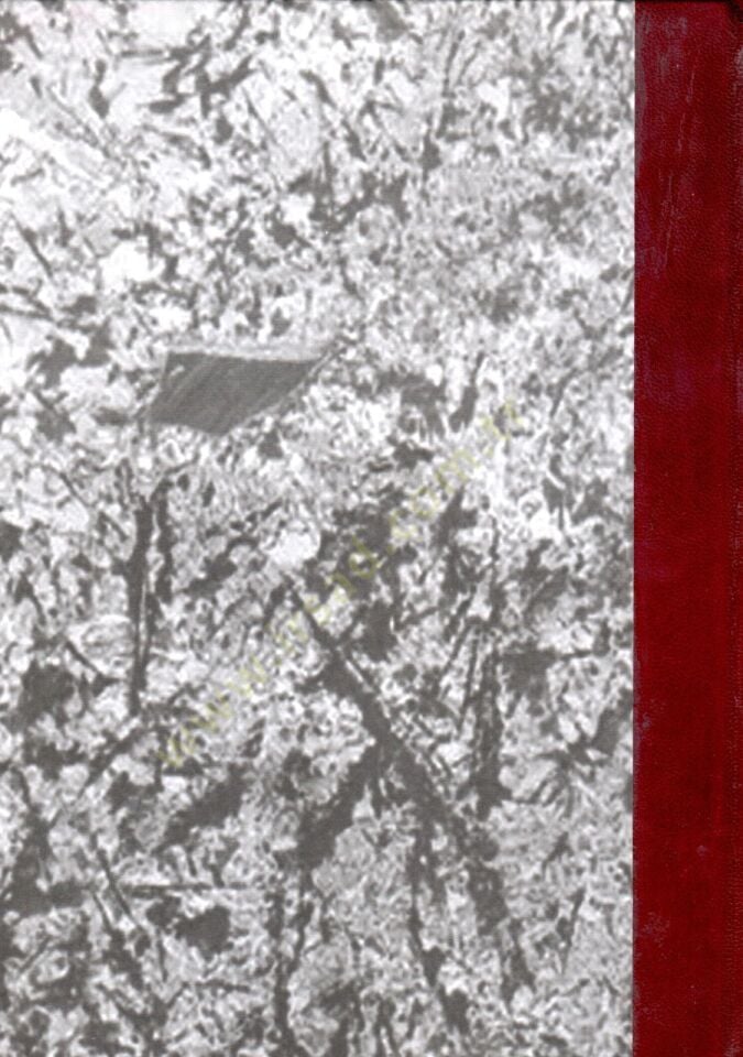 إت-تاليوس-سعيد الكامي إسماعي نوسيبايس-سعيد