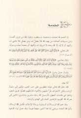 الداوة الإسلامية في العهد-دولتيل-الأيوبية