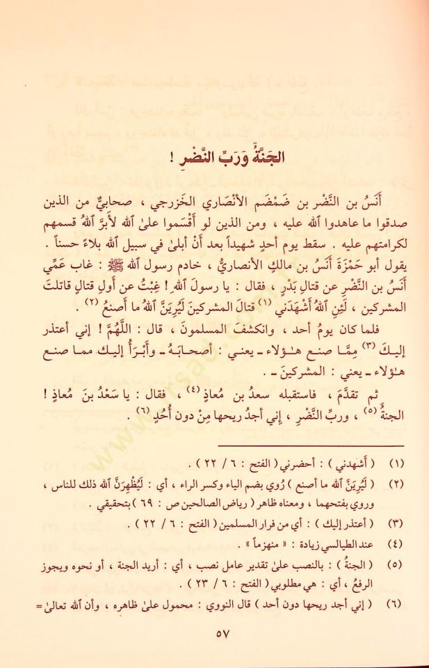 Safahatun Müşrika min Tarihil-Alamil-Ümme - صفحات مذهلة من تاريخ أعلام الأمم المتحدة