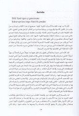 Mem u Zin  - مم وزين