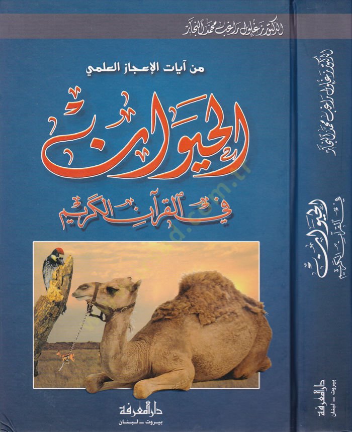 الهيفان في القرآن الكريم (من آياتيل-إيكازيل-علمي) العلمي